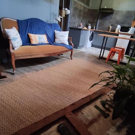Studio 1 Chambre Ideal Salaries Nomades Montauban Exteriör bild