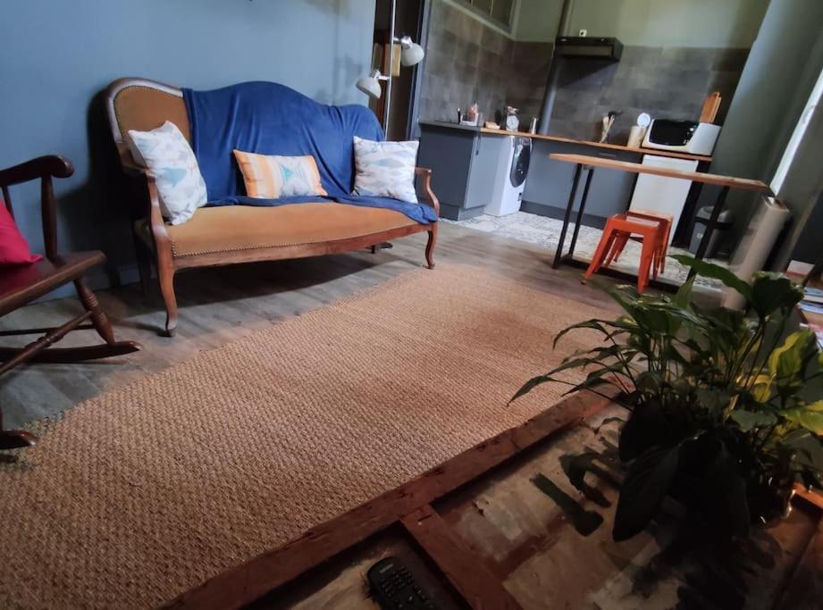 Studio 1 Chambre Ideal Salaries Nomades Montauban Exteriör bild
