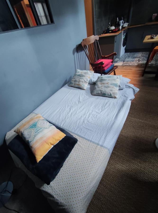 Studio 1 Chambre Ideal Salaries Nomades Montauban Exteriör bild